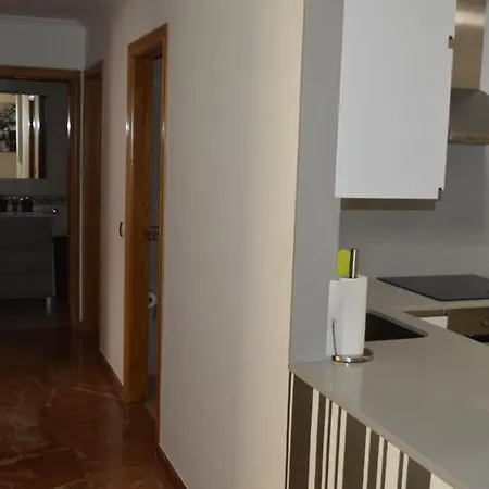 Palmeras Caldas De Reis