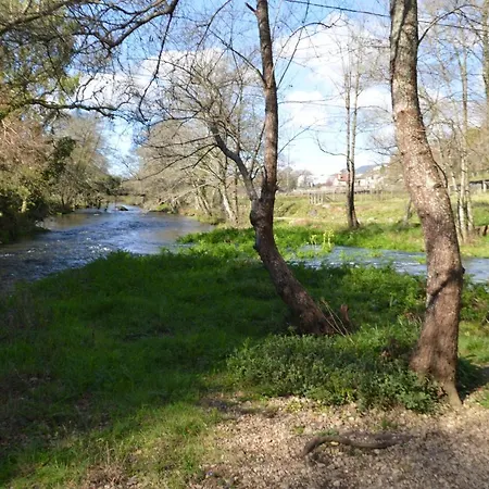 アパート Palmeras カルダス・デ・レイス