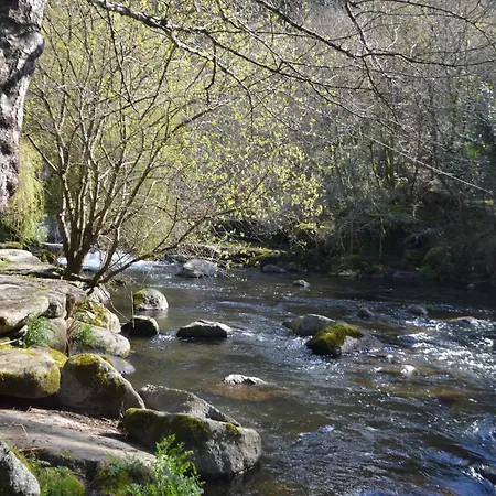 Palmeras * カルダス・デ・レイス