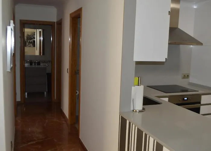 Palmeras Caldas De Reis