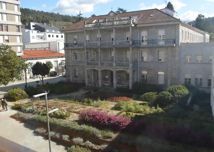 Palmeras Caldas De Reis