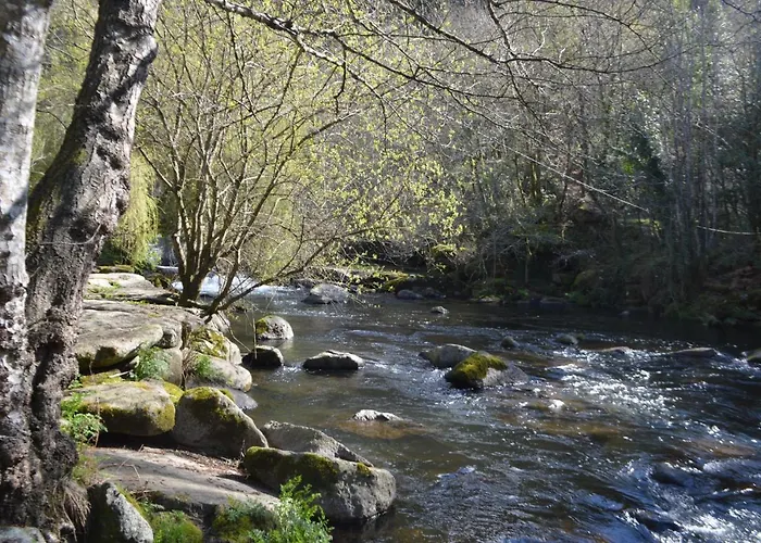 Palmeras * Caldas De Reis